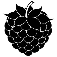 Marion berry fruit silhouette vector illustration