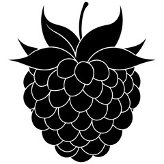Marion berry fruit silhouette vector illustration