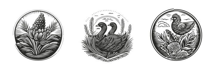 Hand-Drawn Illustrations of Nature and Wildlife in Black and White