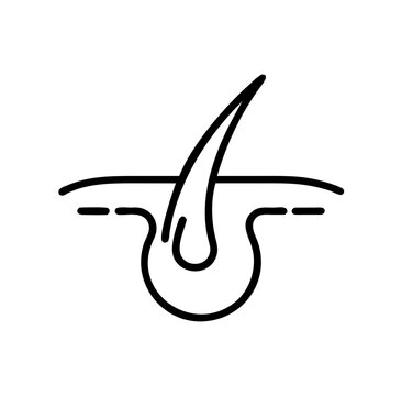 black hair follicle simple line art clip art preview