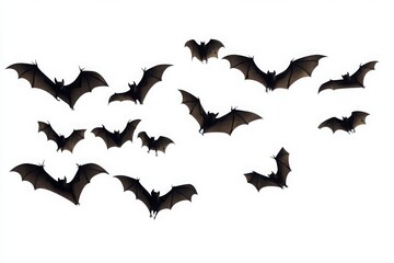 Naklejka premium Silhouettes of Bats in Flight