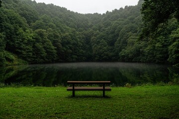Fototapeta premium Tranquil lake view with bench in foreground surrounded by lush forest scenery
