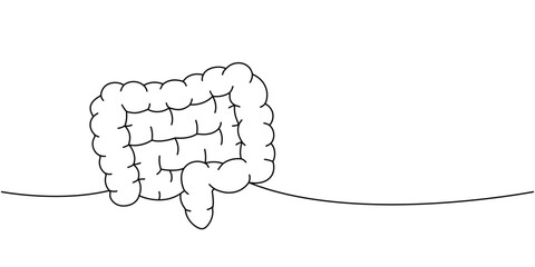 Intestines one line continuous drawing. Human internal organ continuous one line illustration.