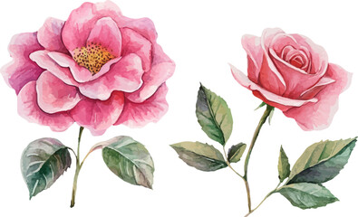 Fototapeta premium set of pink flowers