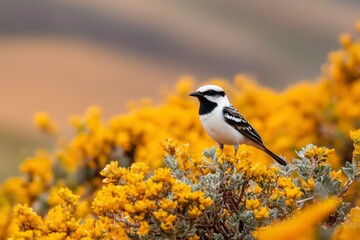 Obraz premium Bird rests on a flowering shrub in mountainous terrain, backdrop for nature themes