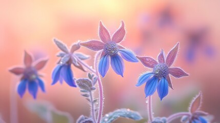 Serene Sunset Delicate Blue Flowers in Soft Light