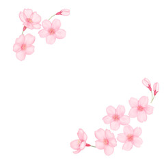 水彩風のリアルな桜のフレーム