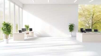 Modern, bright office space with natural light