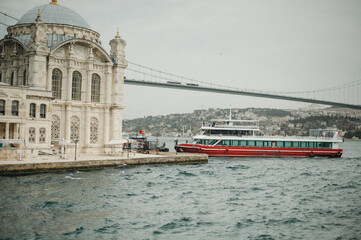 Fototapeta premium Scenic Bosphorus Strait, Maritime Traffic and Coastal Views