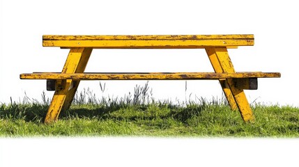Vibrant Wooden Picnic Bench in Isolated Park Setting