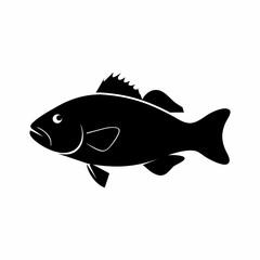 Grouper fish silhouette on white background 