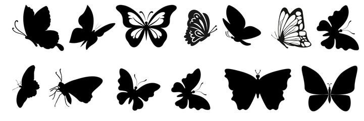 Beautiful monarch butterfly, beautiful butterfly isolated on white, Butterflies element