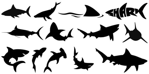 Swimming with whale sharks silhouette of Circling Sharks. Group shark photo, Shark elements