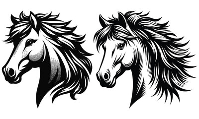 horse vector illustration
