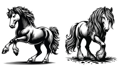 horse vector illustration
