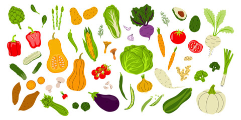 Fresh vegetables displayed in a vibrant arrangement showcasing healthy eating options from a market