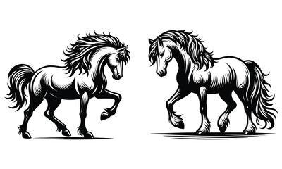 horse vector illustration