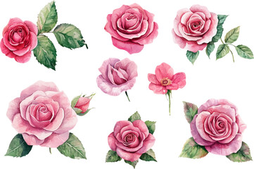 Fototapeta premium Beautiful bunch flowers set watercolor design 