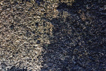 Old Rough Concrete Texture with Dry Moss Crust