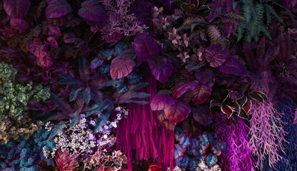 closeup nature view of purple leaves background, abstract leaf texture.
