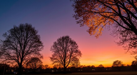 Naklejka premium Serene Sunset Silhouette Majestic Trees at Dusk Vibrant Sky Colors