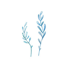 Seaweed watercolor illustrations in blue and green colors. Hand drawn elements isolated on white background. Design elements for summer labels, textiles, tableware