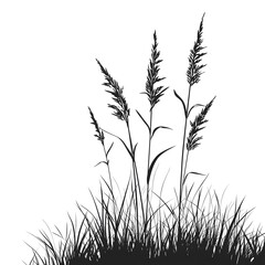 Silhouette of grass set in