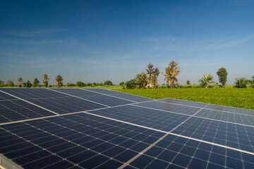 Solar panels for irrigation systems in farm.