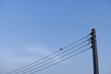 Blue sky background with old electric pole and wire. Evening sky texture after sunset. Abstract...