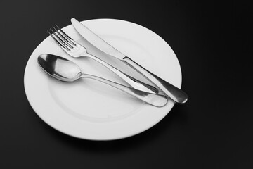 Cutlery with a plate