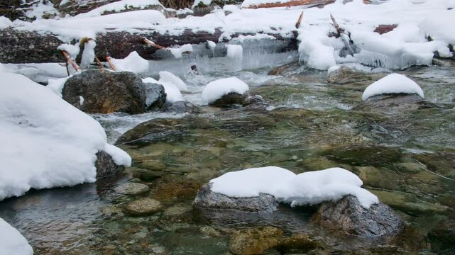 Crystal Clear Fresh Water Stream of Snow Melt