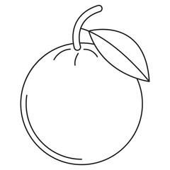 Orange Coloring Page