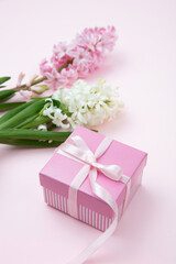 Mothers day. Fresh Hyacinths, Spring  flowers and a gift box on pink background