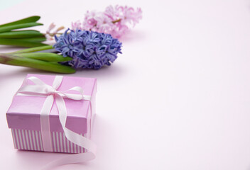 Mothers day. Fresh Hyacinths, Spring  flowers and a gift box on pink background
