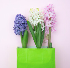 Mothers day card. Fresh Hyacinths flowers on pink background.