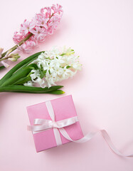 Mothers day. Fresh Hyacinths, Spring  flowers and a gift box on pink background