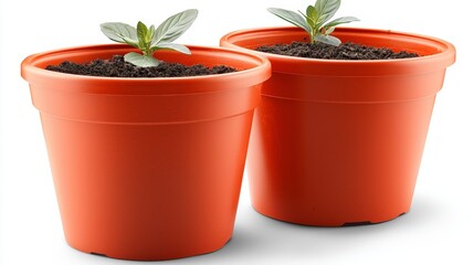 Obraz premium Pair of orange plastic flower pots filled with fresh soil and emerging sprouts isolated on white background representing beginning of plant life indoor gardening and minimal eco decor theme