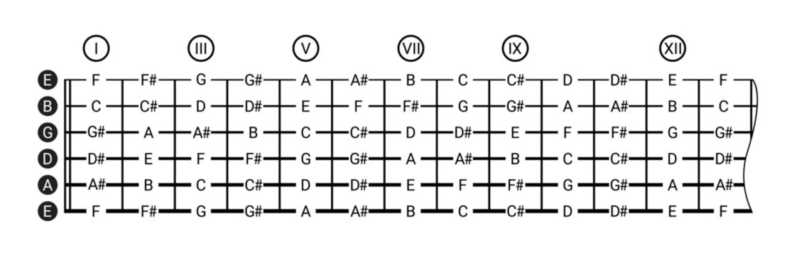 Detailed illustration of guitar fretboard with notes for all strings and positions. Useful for music education, learning chords, scales and songwriting.