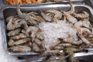 fresh white shrimps on ice for sale