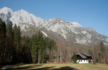 Cozy mountain chalet nestled in an autumn forest landscape. Julian alps Slovenia
