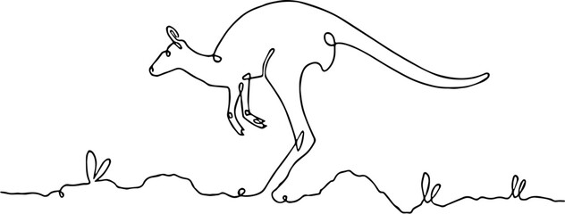 kangaroo vector illustration line art