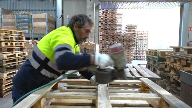 Skilled carpenter efficiently assembling wooden pallets using a pneumatic nail gun in a busy recycling plant