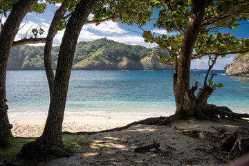 コペペ海岸　小笠原　東京都