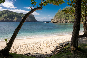 コペペ海岸　小笠原　東京都