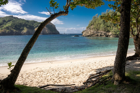 コペペ海岸　小笠原　東京都