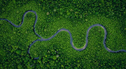 A winding river snakes through a vibrant green forest landscape