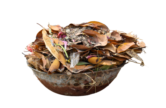 Garbage Buckle Isolated on a Transparent Background PNG	
