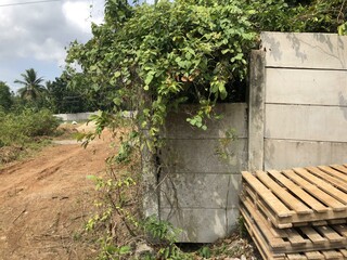 Long concrete fence enclosing an open area, surrounded by tropical greenery