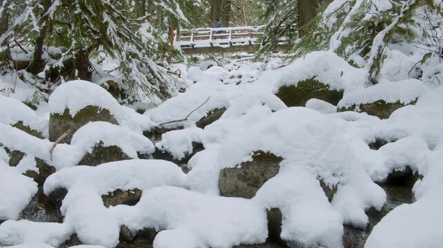 Man Enjoying a Walk in the Woods Across Snow Covered Footbridge