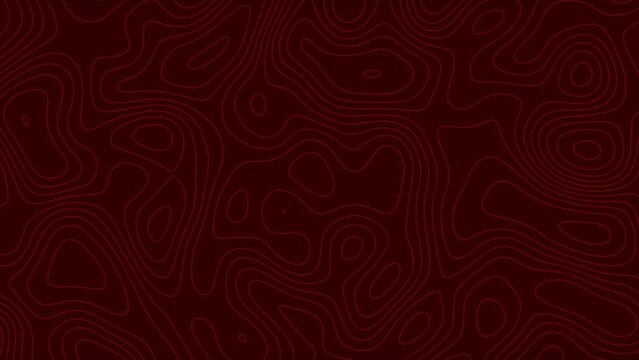 Topography Lines Animated Background